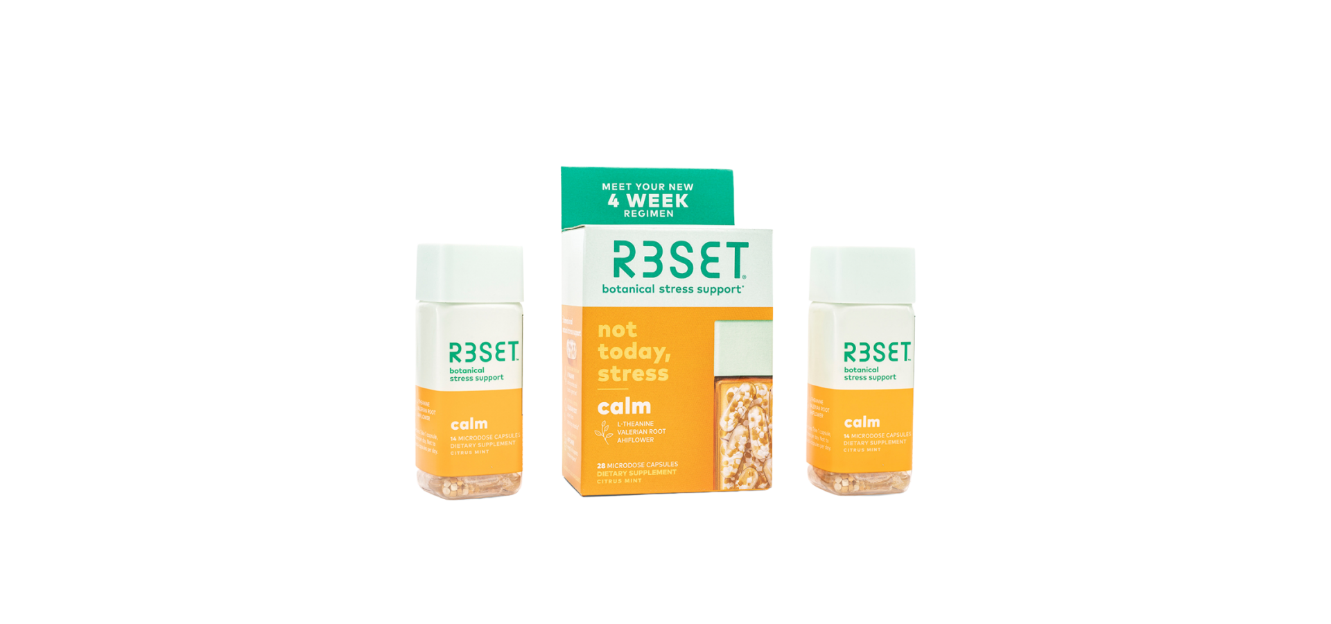 reset1