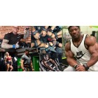 Versa PRO-550 Gripps 