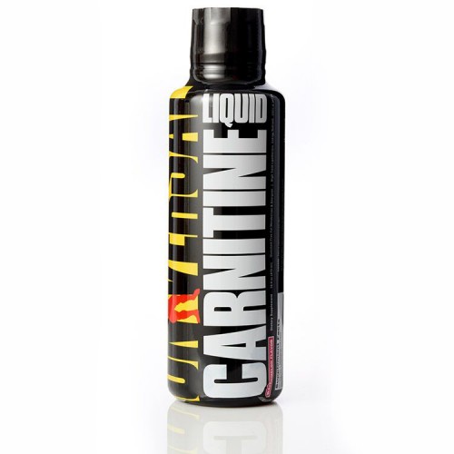 UNIVERSAL CARNITINE #473(WATERMELON)